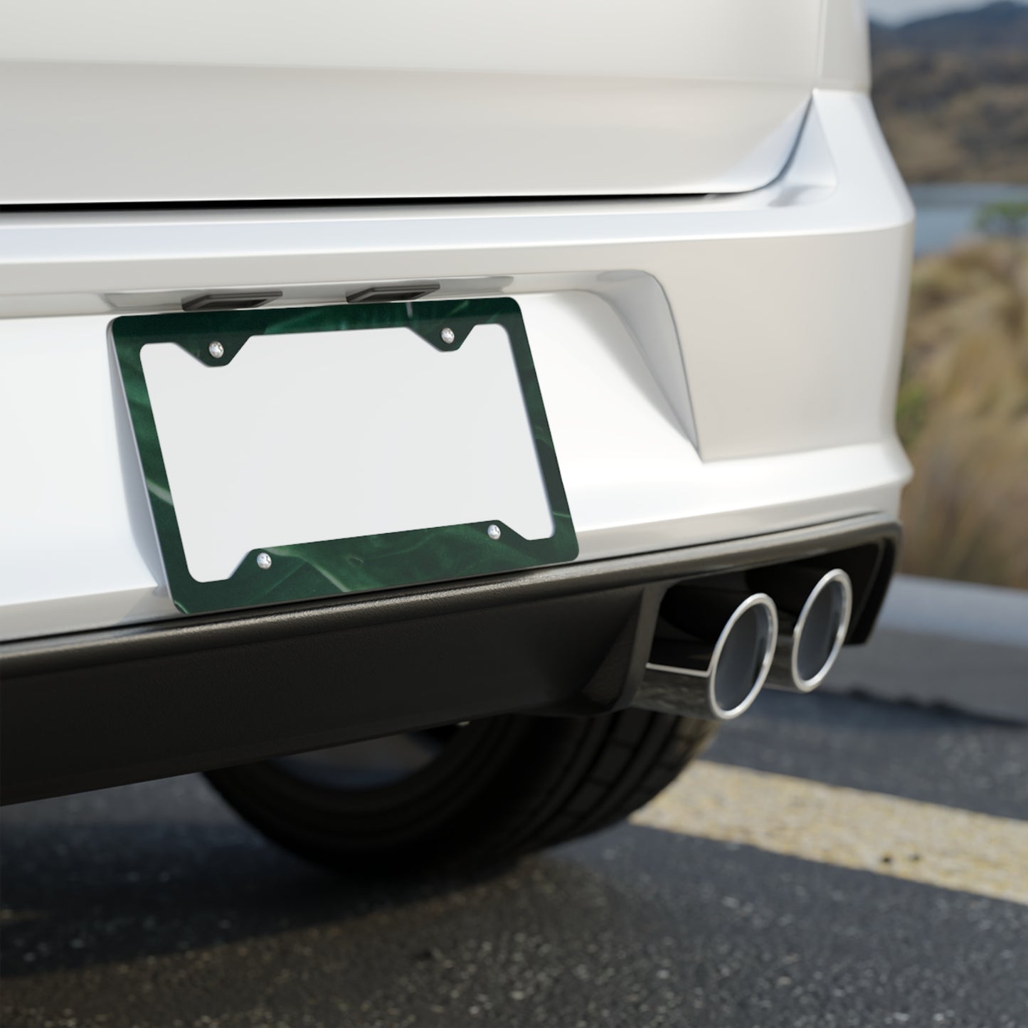 Stauber Metal License Plate Frame