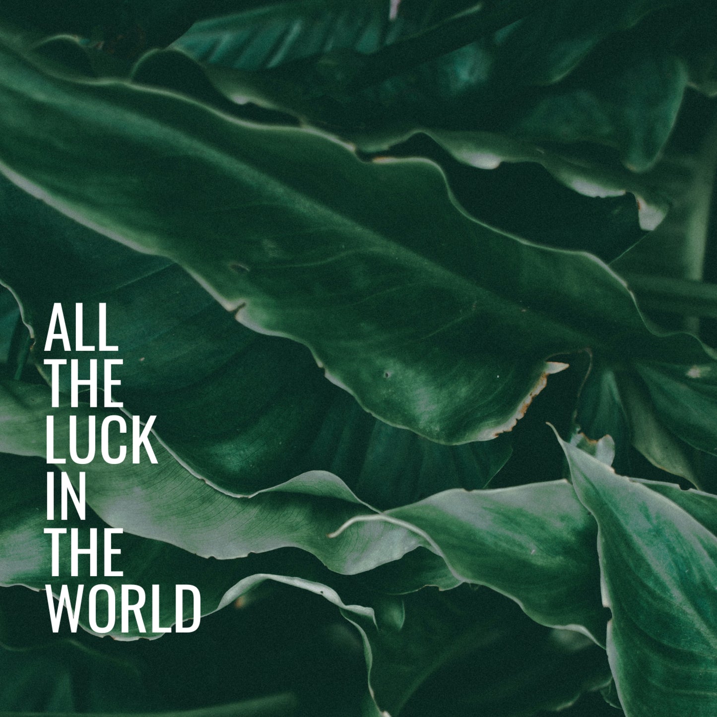 Colin Stauber - All The Luck In The World (feat. Skrillex) [Digital Download]