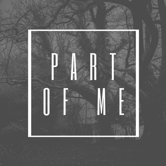 Colin Stauber - Part Of Me (Radio Edit) [Digital Download]